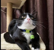 Janeji Bun profile icon