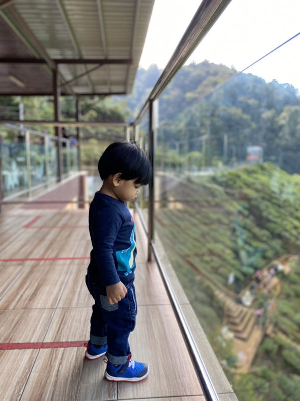 Nolen Nolen profile icon