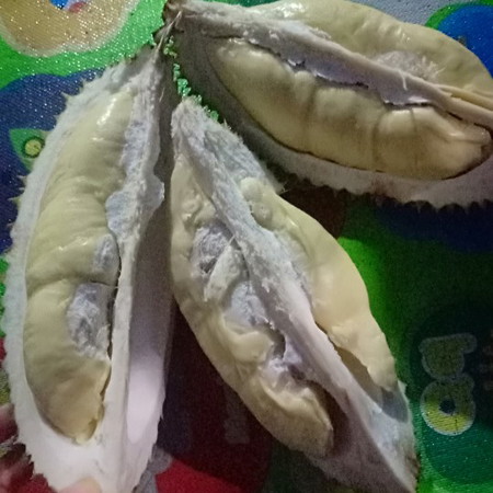 makanan