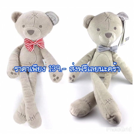 ตุ๊กตาหมีเน่า