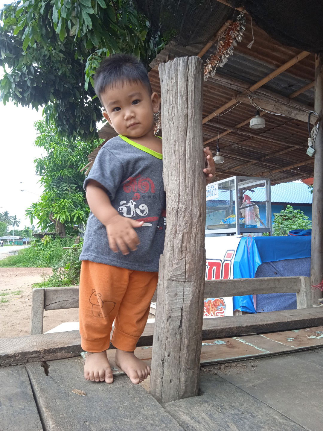 ใบเตย แอร์บ้าน จานดาวเทียม profile icon