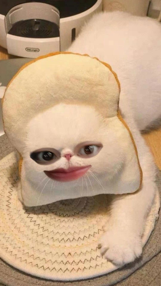 NATNICHA NATNICHA profile icon