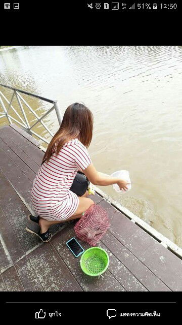 charinya lontue profile icon