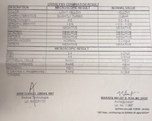 RESULTS