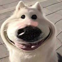 faseethong profile icon