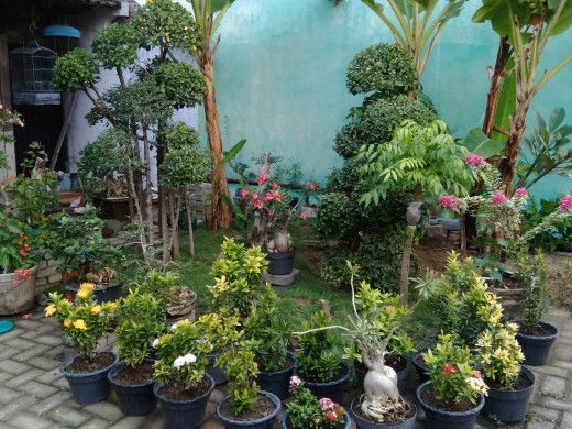 Cicha Kartika profile icon