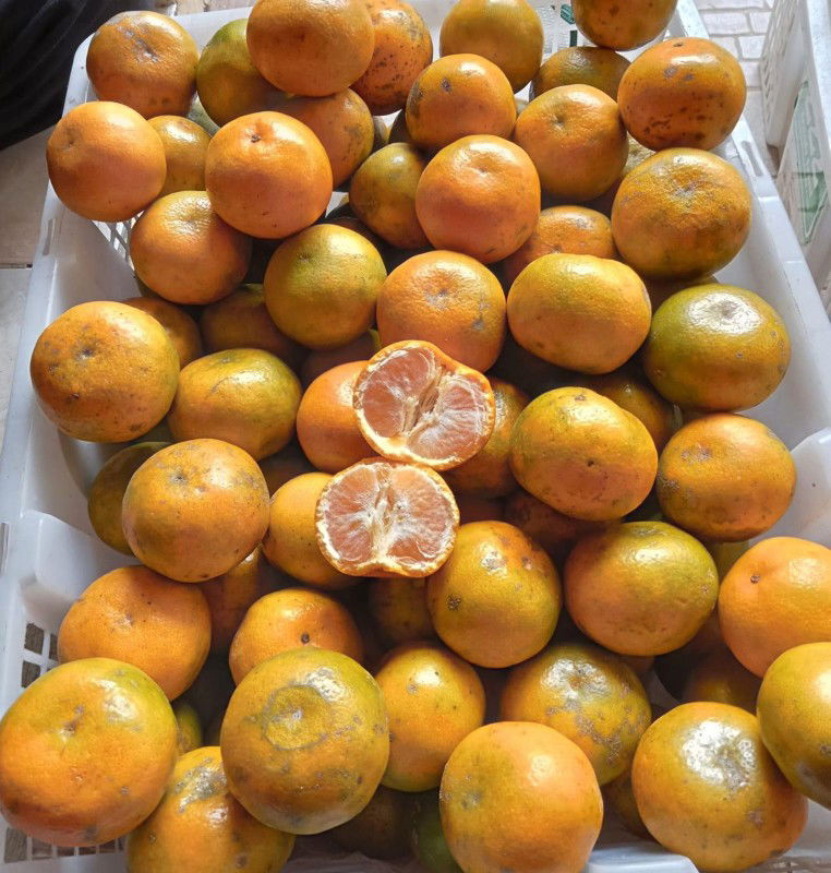 Dewi Ratna Sari profile icon