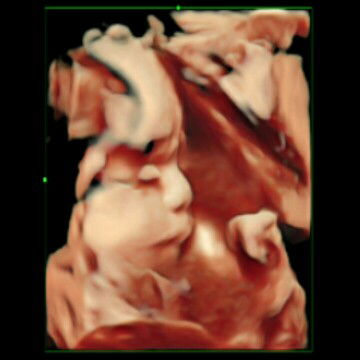 anh hong profile icon