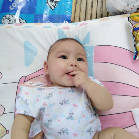 หมูน้อย