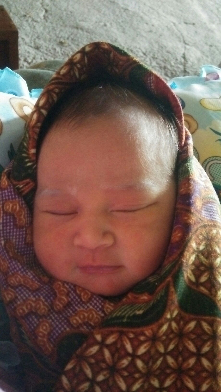 Cintaku SHAKAYLA DERIFA RINJANI HAMZAH