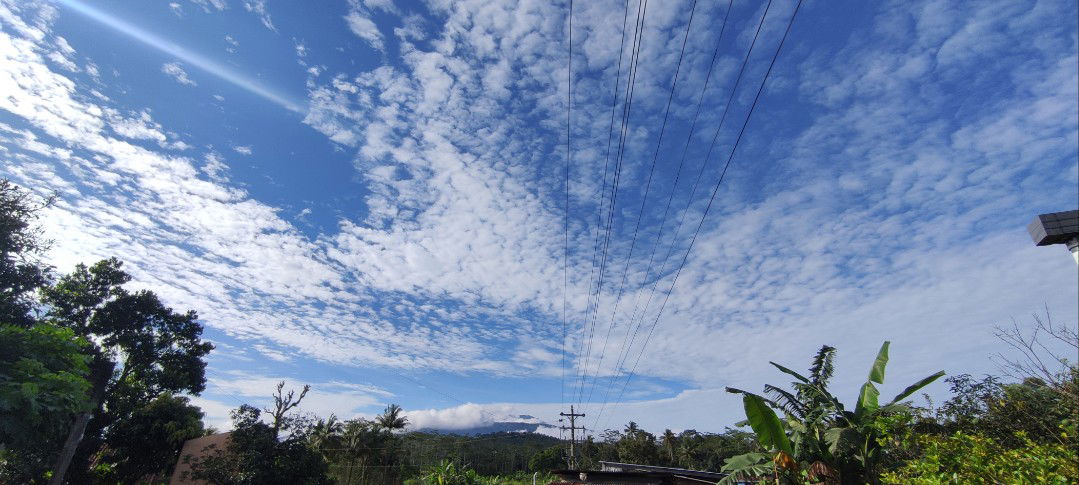 Tria aulia profile icon