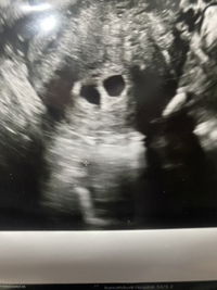 คุณแม่แพนด้า profile icon