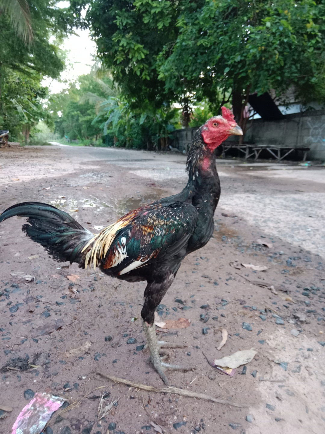 บุษกร อ่อนพุทธา profile icon