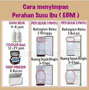 Susu Ebm