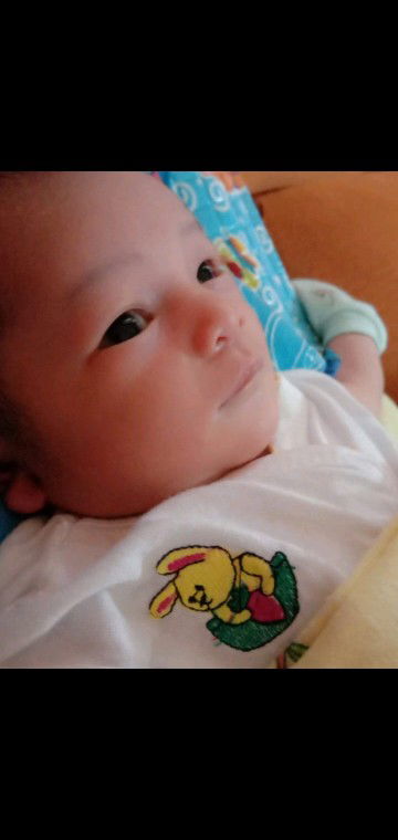 Perkenalan Grup Whatsap