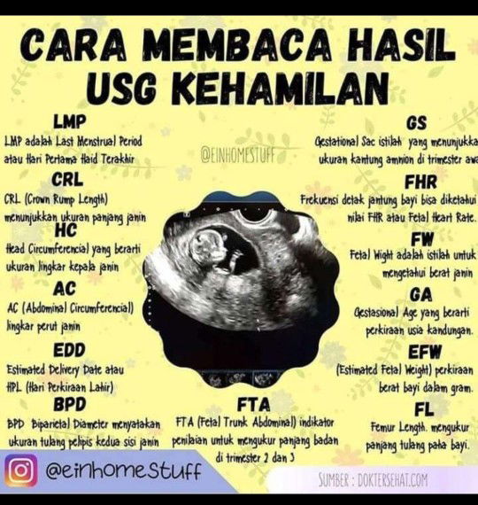 informasi untuk bunda yang baru hamil pertama dan baru usg