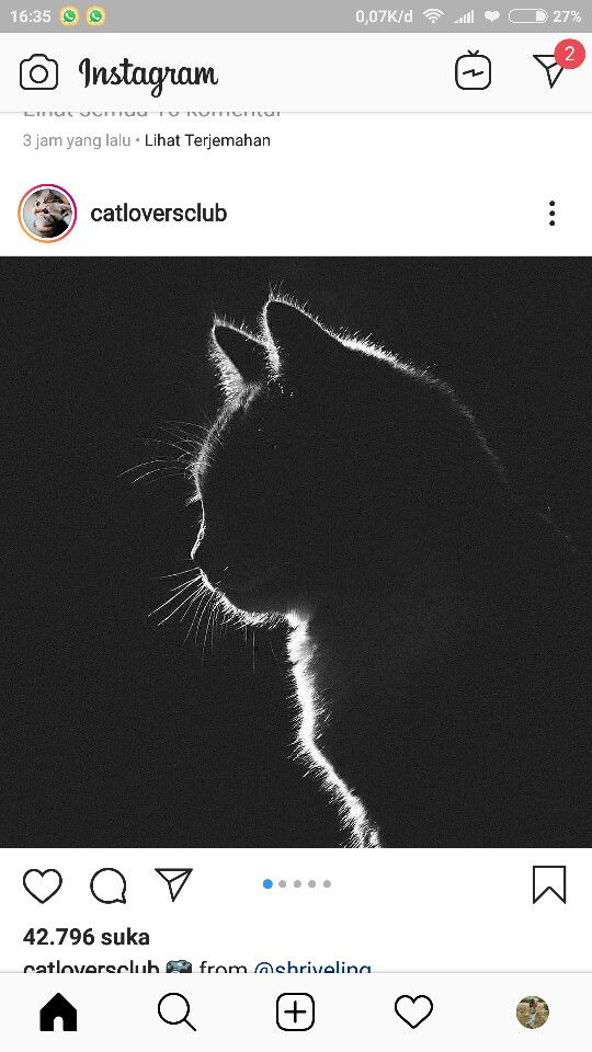 Ny Debi profile icon