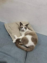 Riska Arriani profile icon