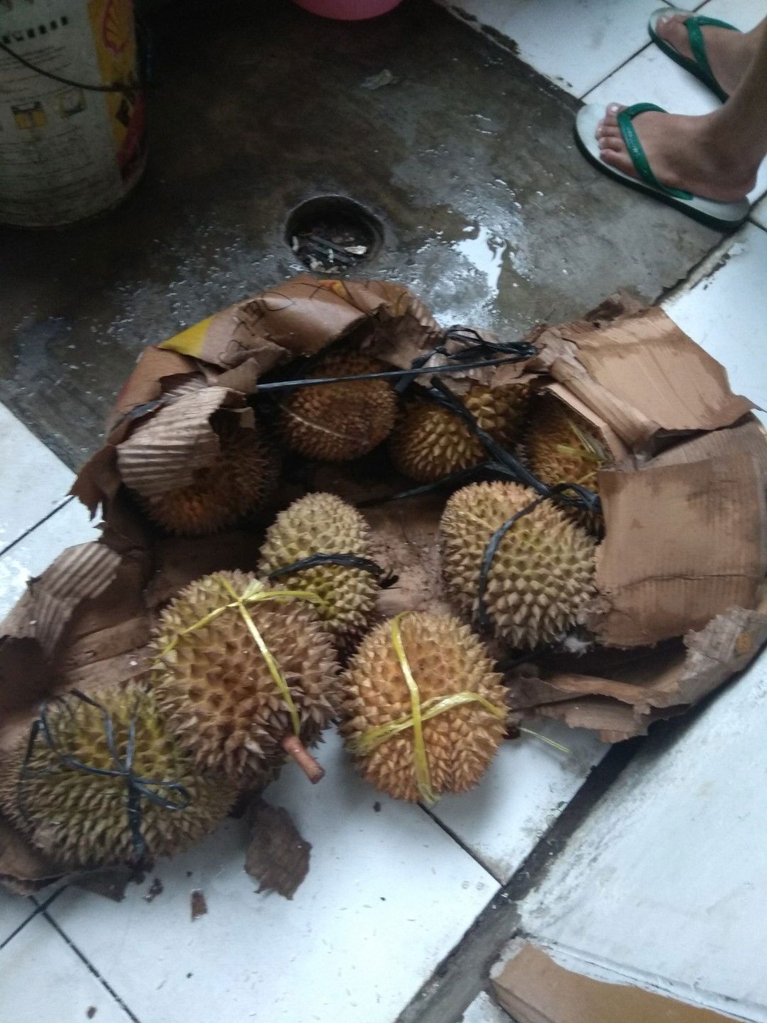 hamil makan durian