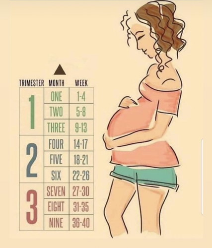 Kiraan minggu dan bulan