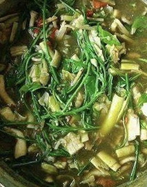 กินแกงหน่อไม้ได้ไหม