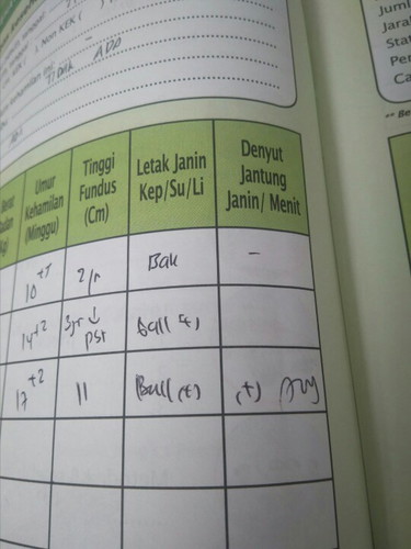 kehamilan