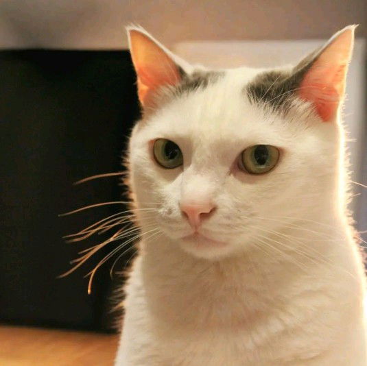 เอิงเอย profile icon