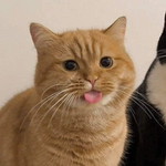 Aridsara Chuithong profile icon