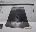 Aom AOM profile icon