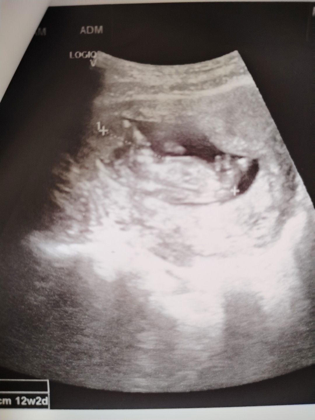 NUR MARIANA profile icon