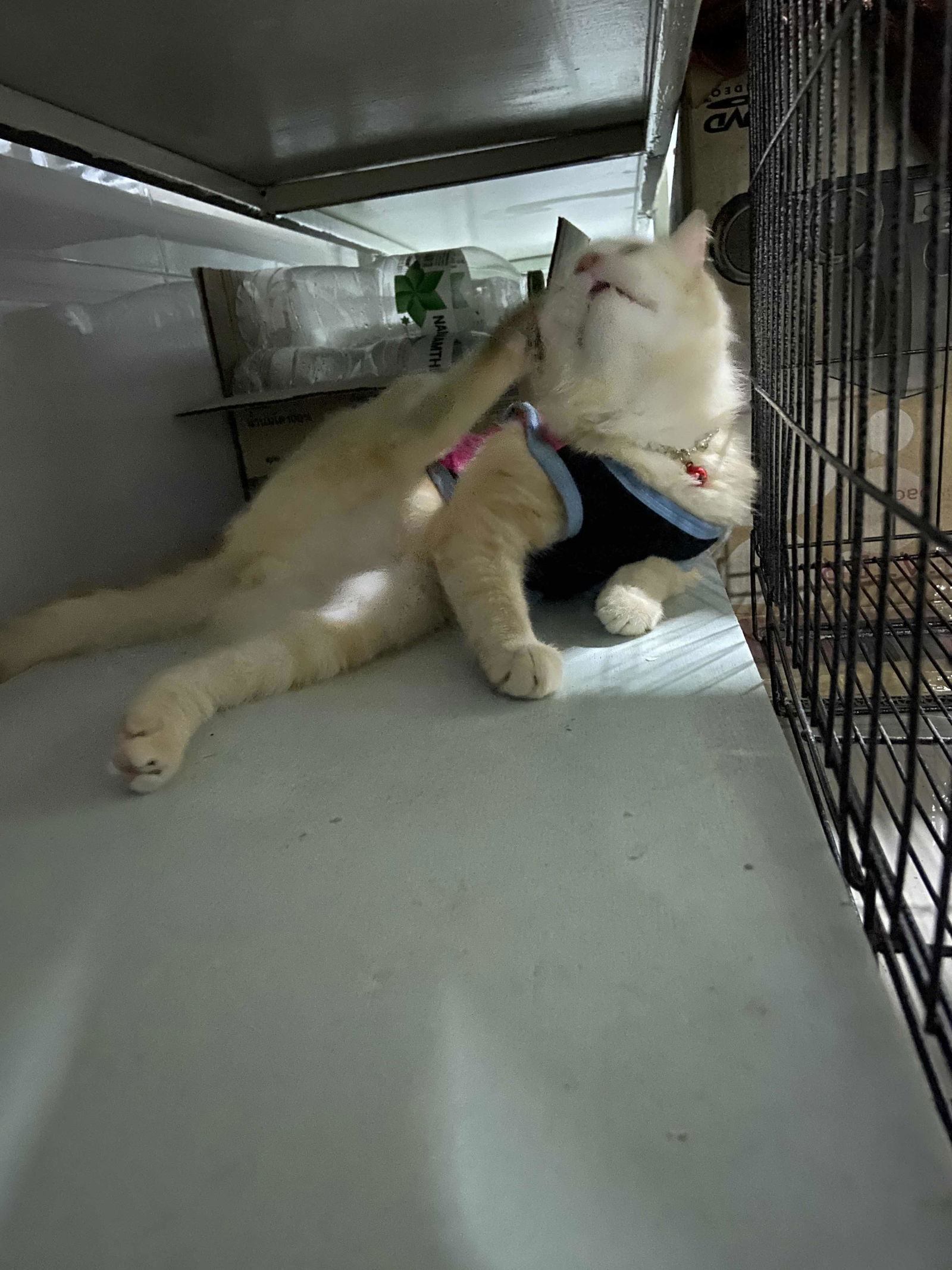 คนนิรนาม profile icon