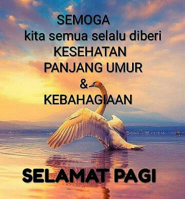 Marlina profile icon