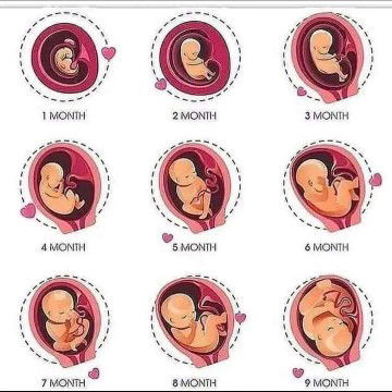 Putri Widya profile icon