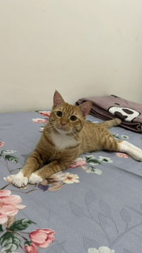 Putri Puspaningtyas profile icon