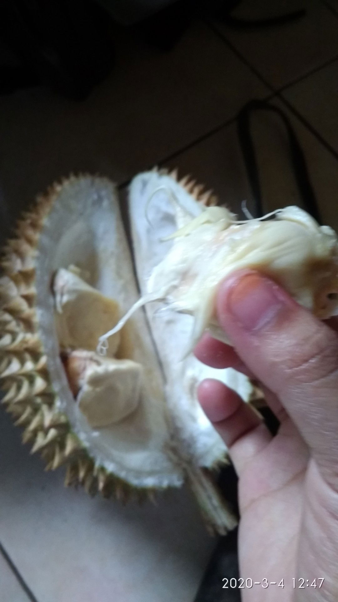 Induksi durian Nanas.