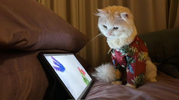 Ayn Leong profile icon