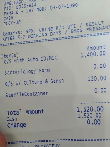 urine culture experience