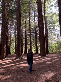 Arina Abdullah profile icon