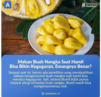 BUMIL MAKAN BUAH NANGKA