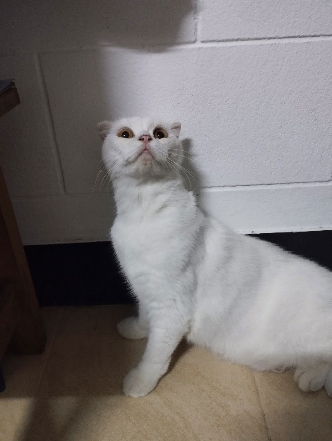 ฟาง'ฟาง profile icon