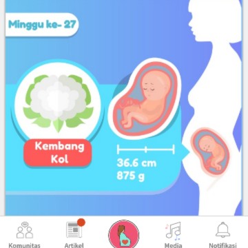 mkst ampliksi ini bner y kak kcih tau donk