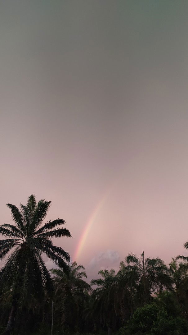 ibuanaksatu profile icon