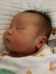 wrn swp. profile icon