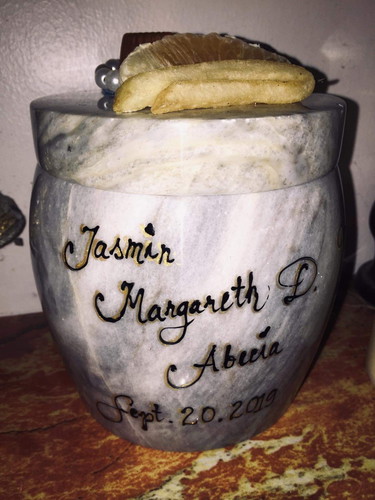 7months And 5days No Heart Beat