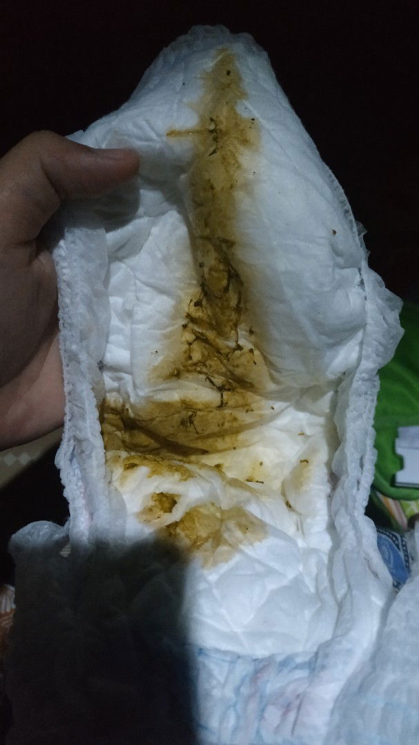 Warna Bab Bayi Hijau