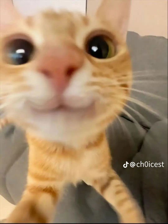 Risma Intan Safitri profile icon