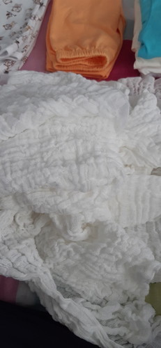 Napkin