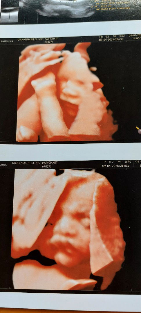 ปาริชาด ราษฎร profile icon