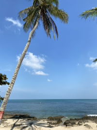 Erlita Puspitasari profile icon