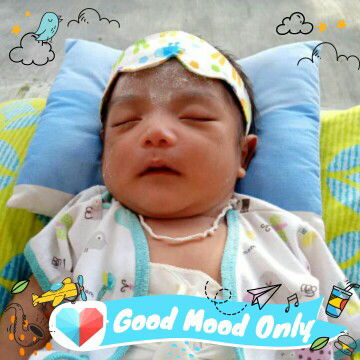 hpl 16 januari launching 18 januari